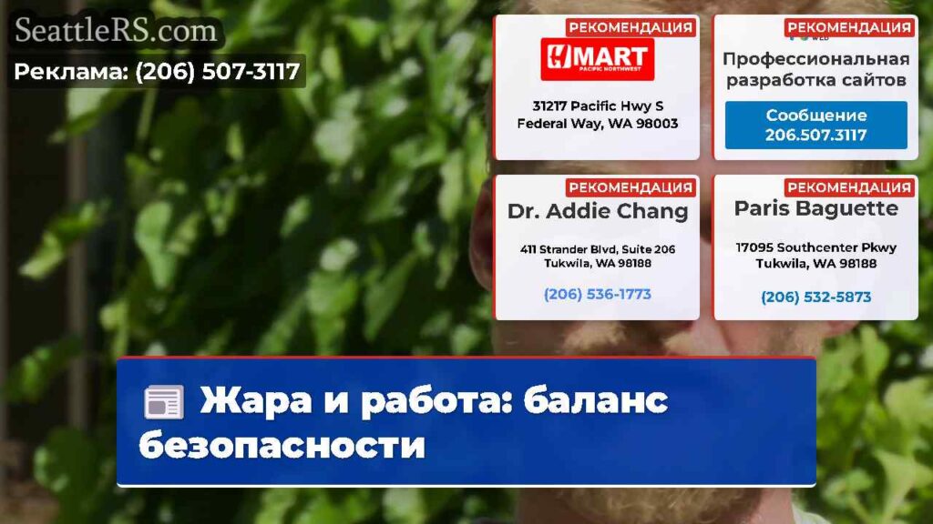Жара и работа: баланс безопасности