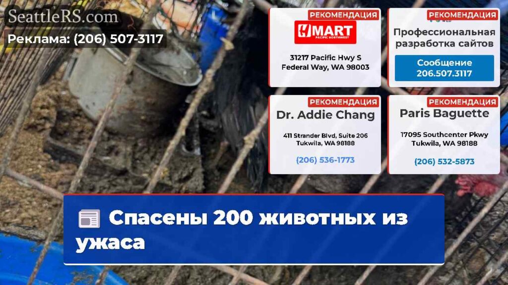 Спасены 200 животных из ужаса