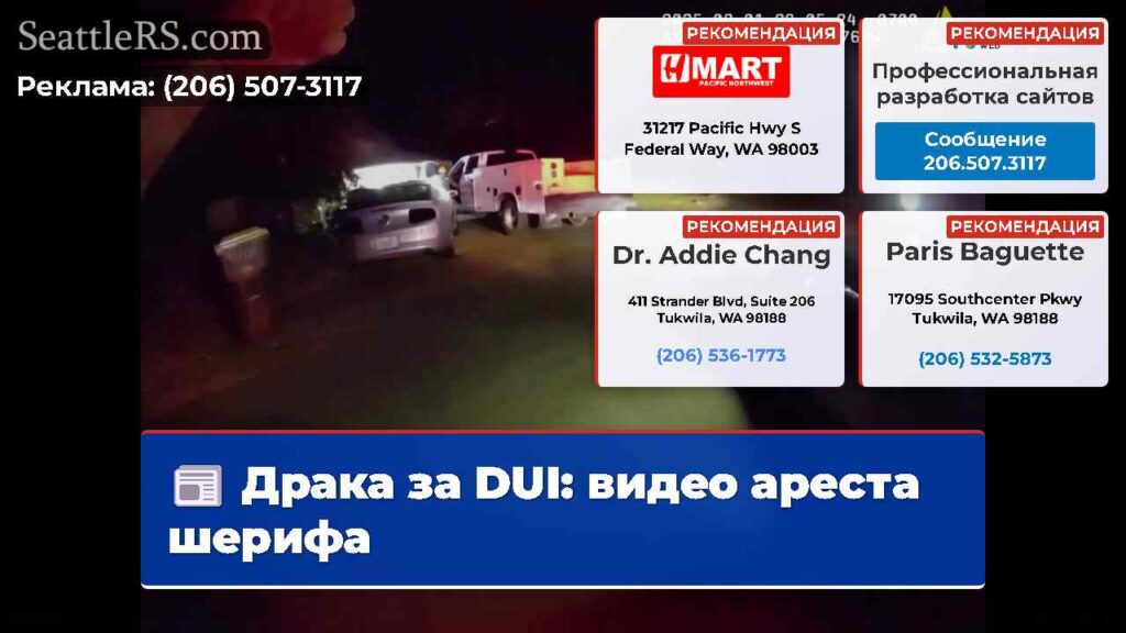 Драка за DUI: видео ареста шерифа