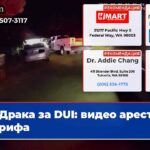 Драка за DUI видео ареста шерифа