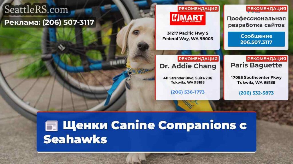 Щенки Canine Companions с Seahawks