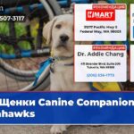 Щенки Canine Companions с Seahawks