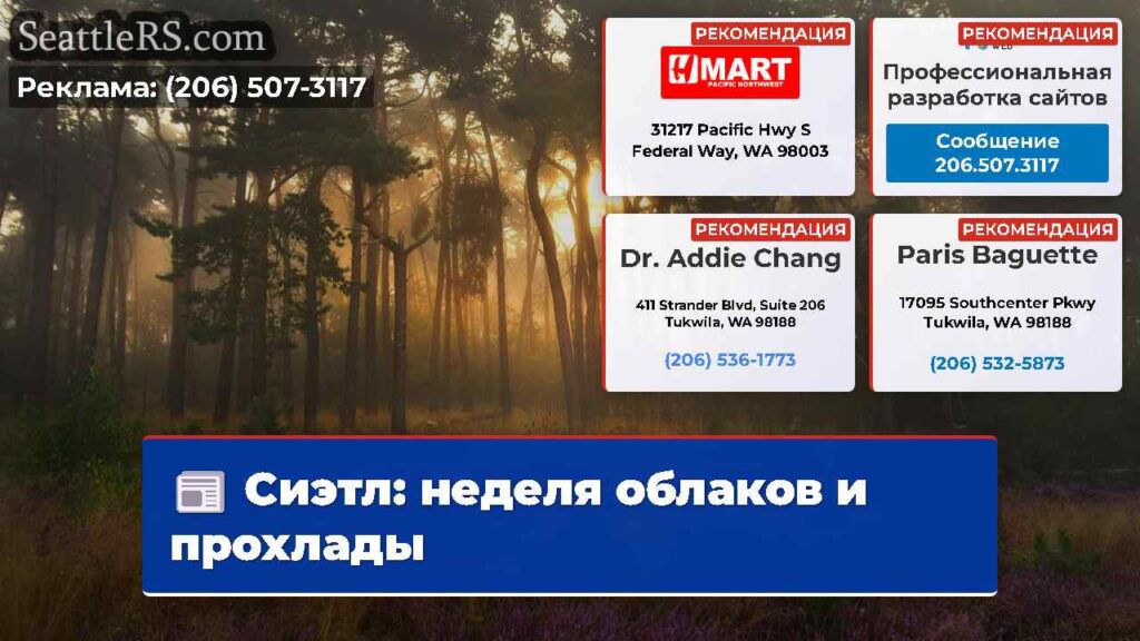 Сиэтл: неделя облаков и прохлады