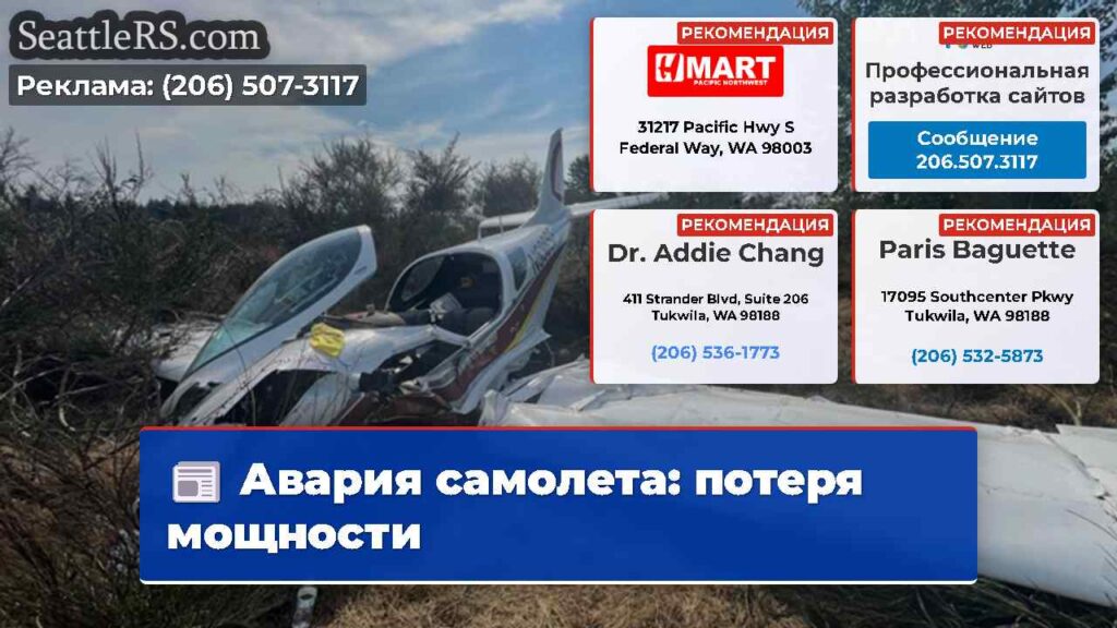 Авария самолета: потеря мощности