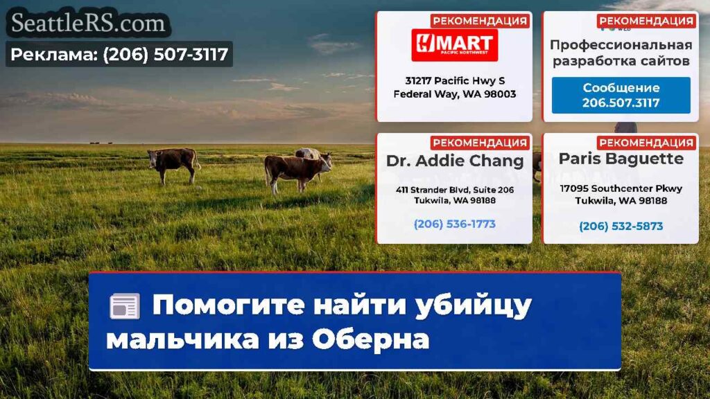 Помогите найти убийцу мальчика из Оберна