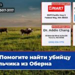 Помогите найти убийцу мальчика из Оберна