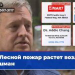 Лесной пожар растет возле Кушман