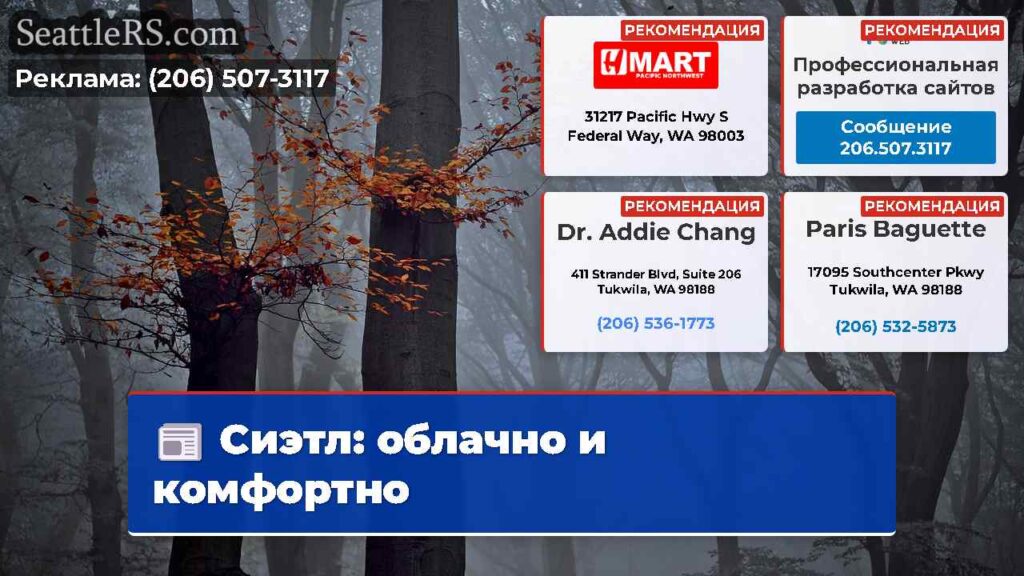 Сиэтл: облачно и комфортно