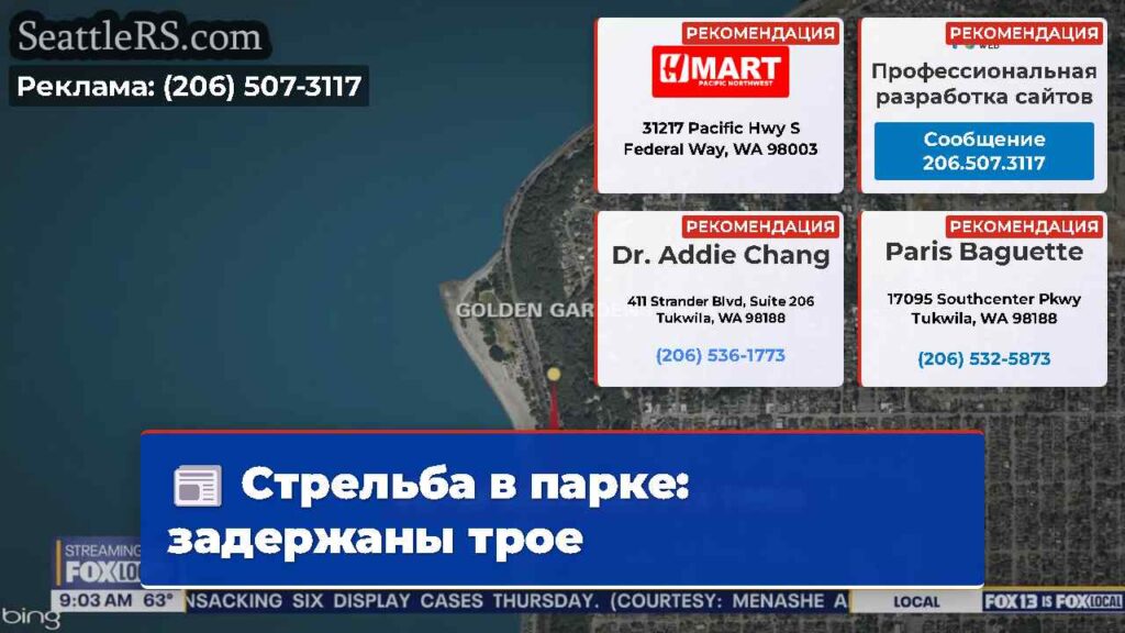 Стрельба в парке: задержаны трое