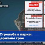 Стрельба в парке задержаны трое
