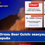 Огонь Bear Gulch эвакуация и борьба