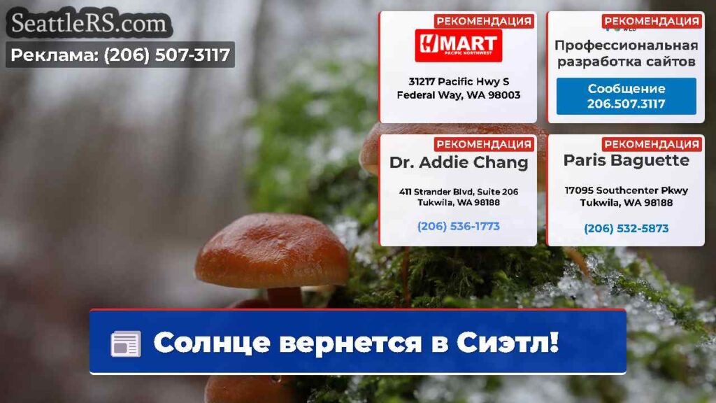Солнце вернется в Сиэтл!