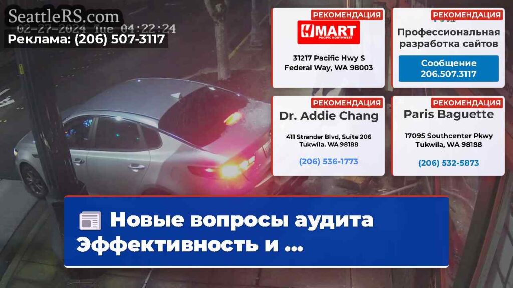 Новые вопросы аудита Эффективность и ...