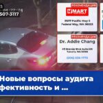 Новые вопросы аудита Эффективность и …