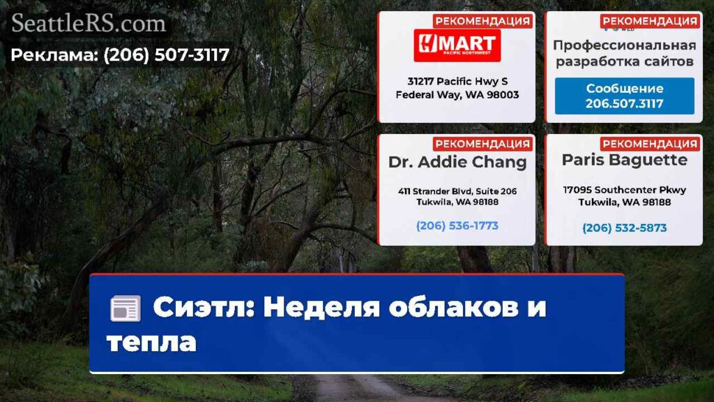 Сиэтл: Неделя облаков и тепла