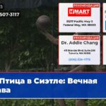 Птица в Сиэтле Вечная слава