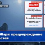 Жара предупреждение властей