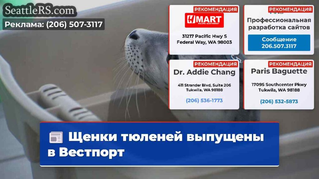 Щенки тюленей выпущены в Вестпорт