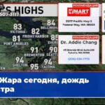 Жара сегодня дождь завтра