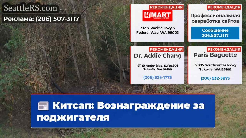 Китсап: Вознаграждение за поджигателя