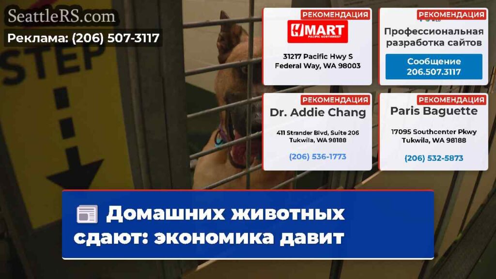 Домашних животных сдают: экономика давит