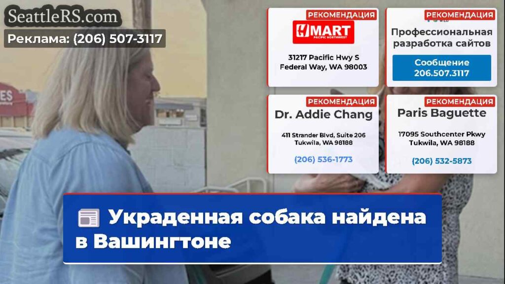 Украденная собака найдена в Вашингтоне