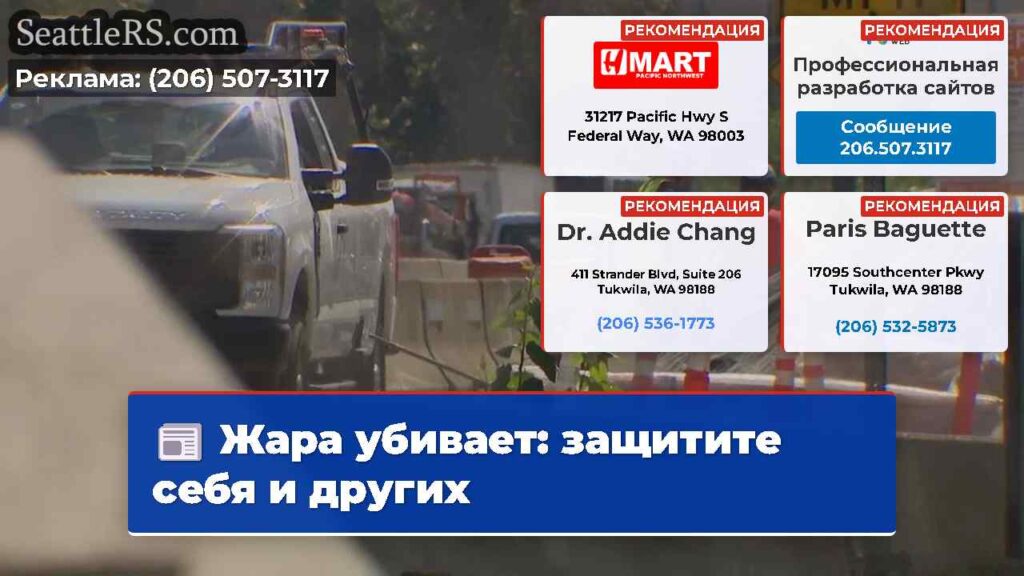 Жара убивает: защитите себя и других
