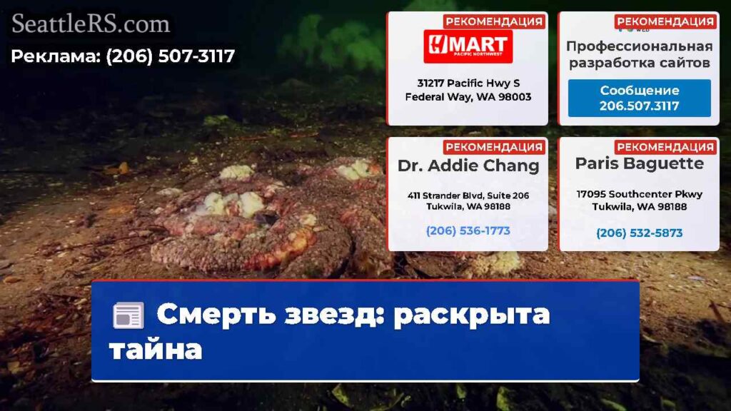 Смерть звезд: раскрыта тайна
