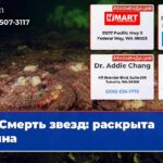 Смерть звезд раскрыта тайна