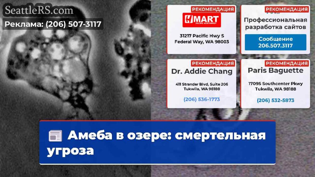 Амеба в озере: смертельная угроза