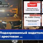 Подозреваемый водитель DUI арестован …