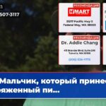 Мальчик который принес заряженный пи…