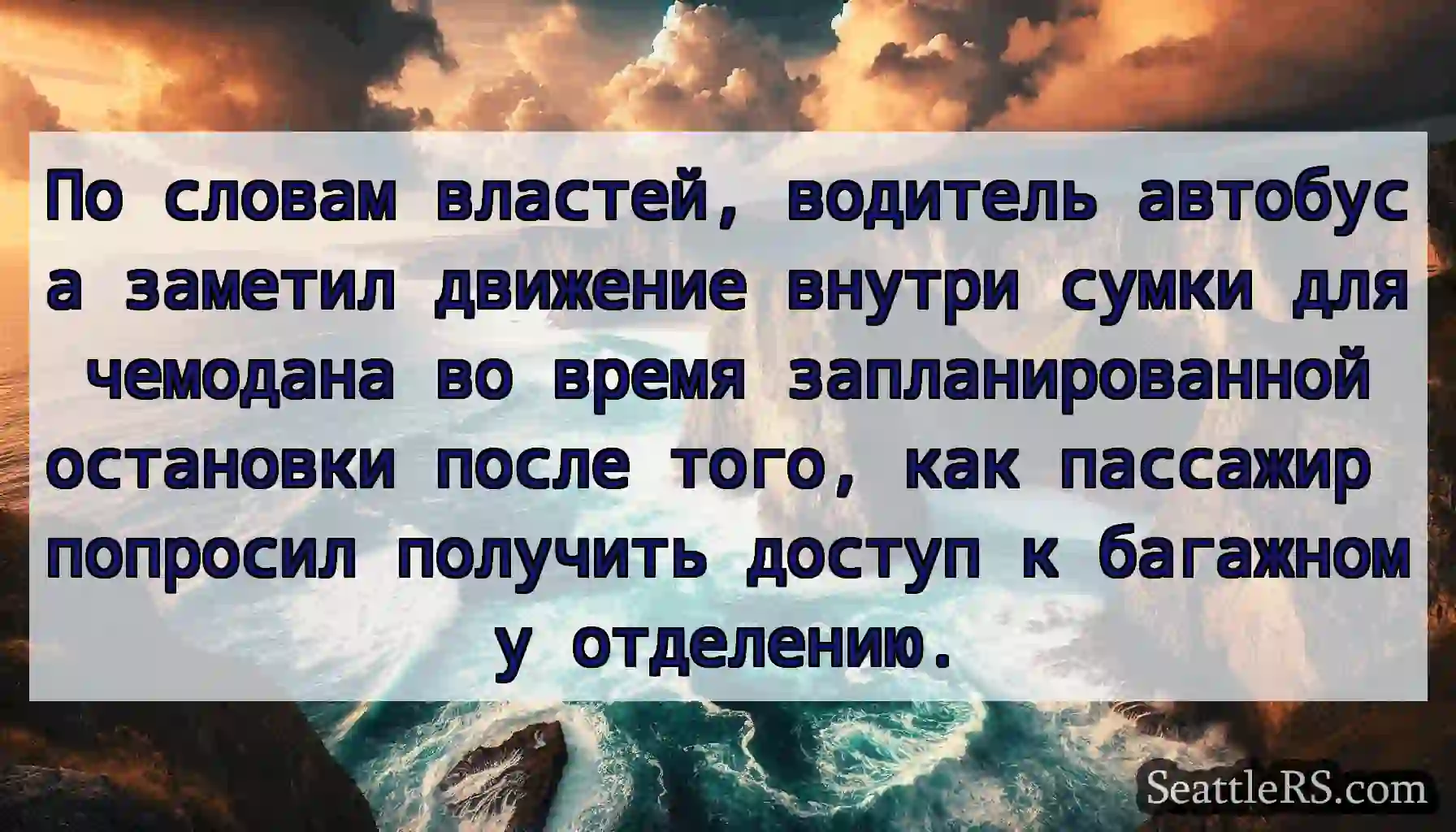 По словам властей, водитель автобуса заметил