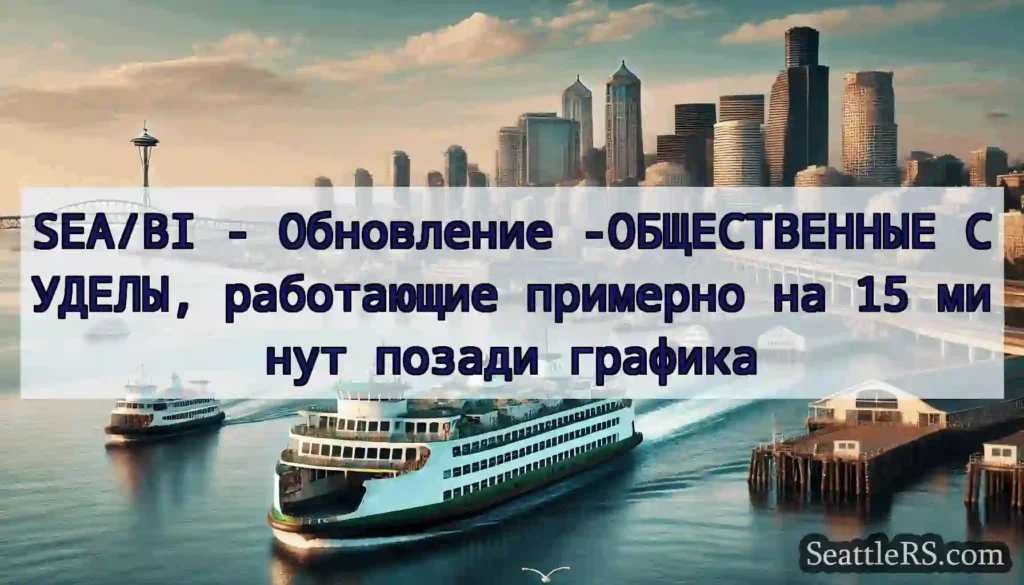 SEA/BI - Обновление -ОБЩЕСТВЕННЫЕ СУДЕЛЫ,