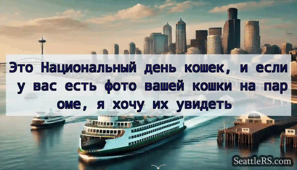 Это Национальный день кошек, и если у вас есть