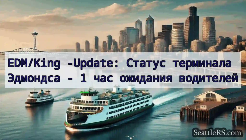 EDM/King -Update: Статус терминала Эдмондса - 1