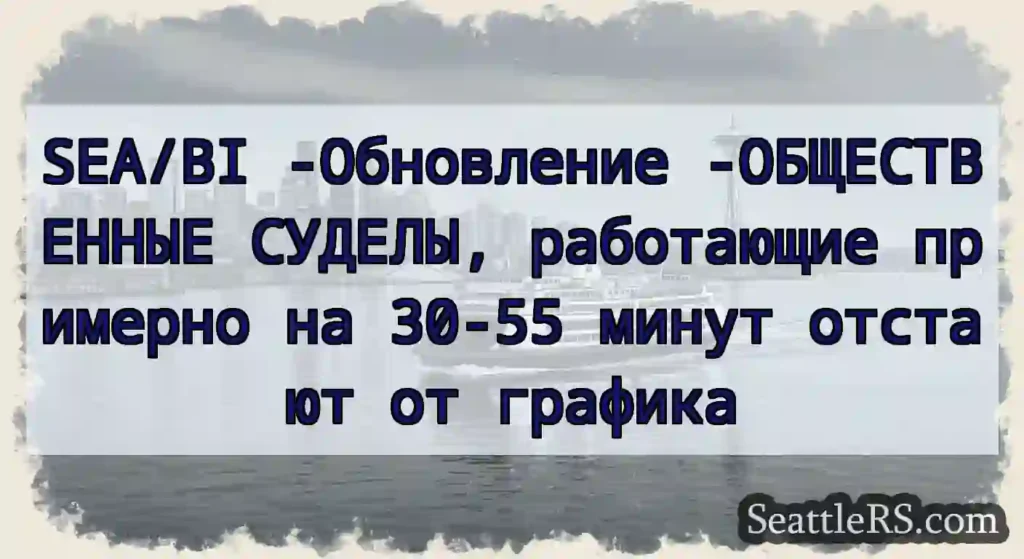 SEA/BI -Обновление -ОБЩЕСТВЕННЫЕ СУДЕЛЫ,