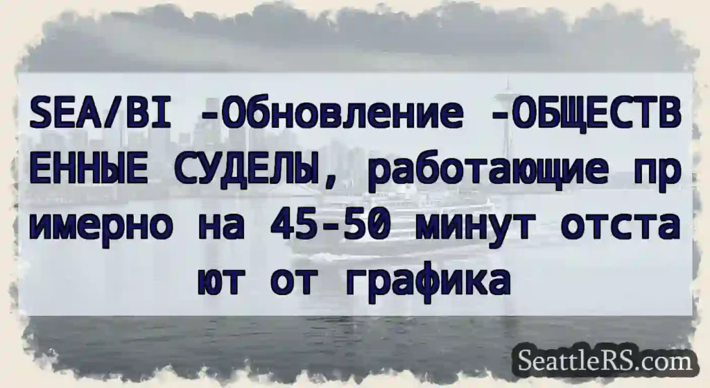 SEA/BI -Обновление -ОБЩЕСТВЕННЫЕ СУДЕЛЫ,