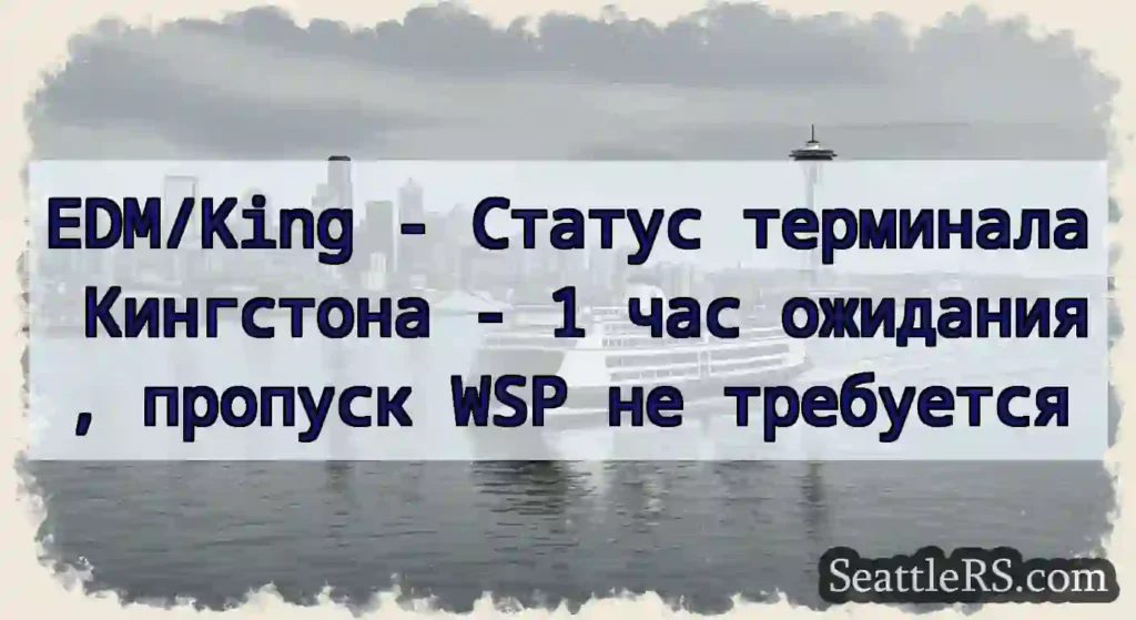 EDM/King - Статус терминала Кингстона - 1 час