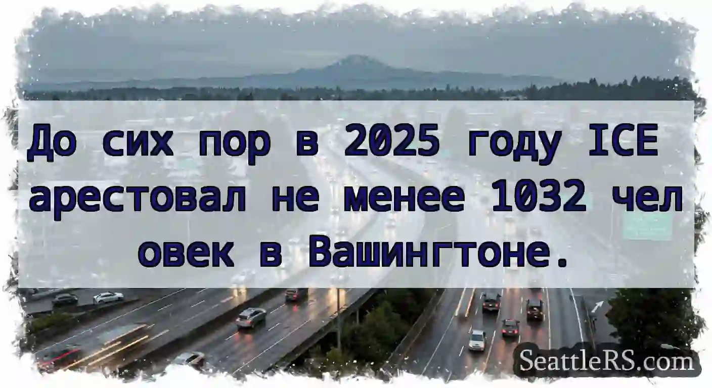 До сих пор в 2025 году ICE арестовал не менее