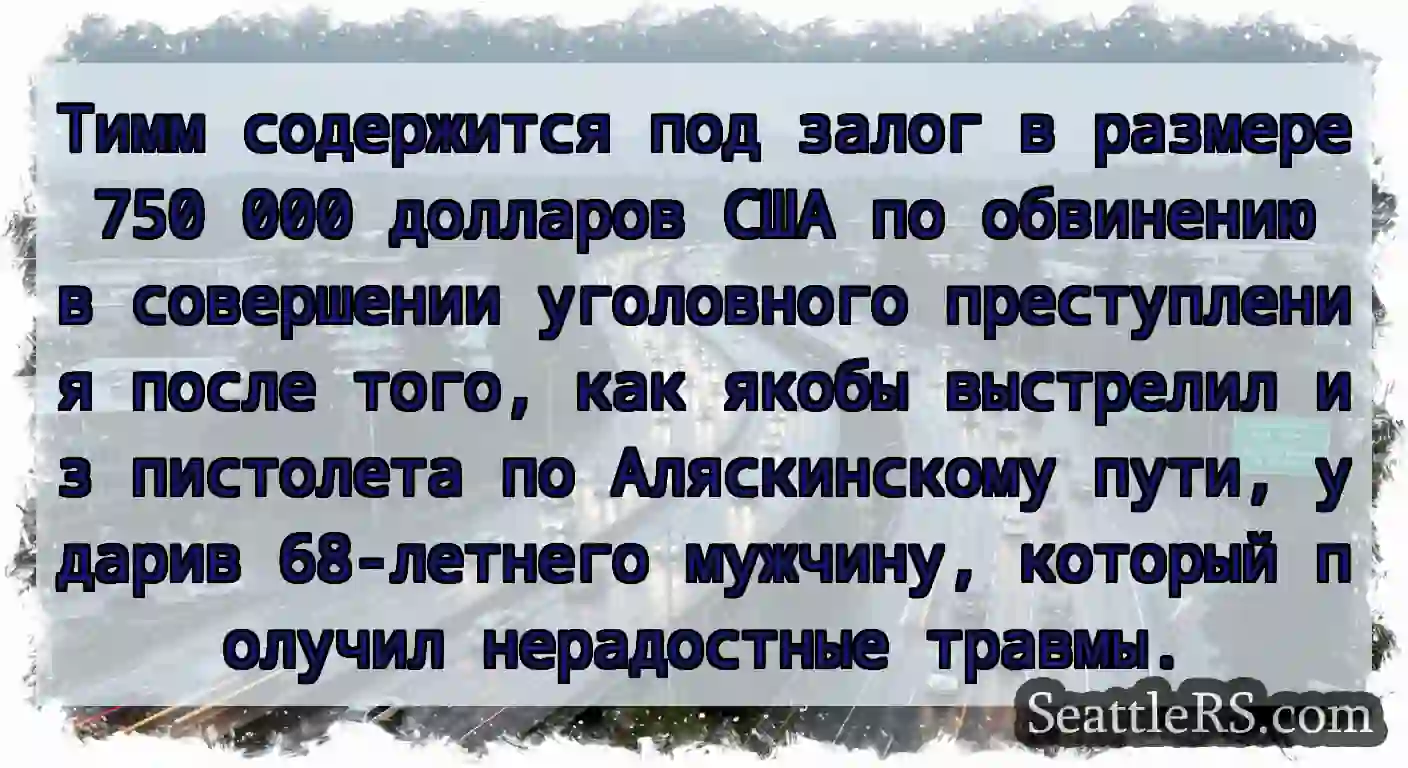Тимм содержится под залог в размере 750 000