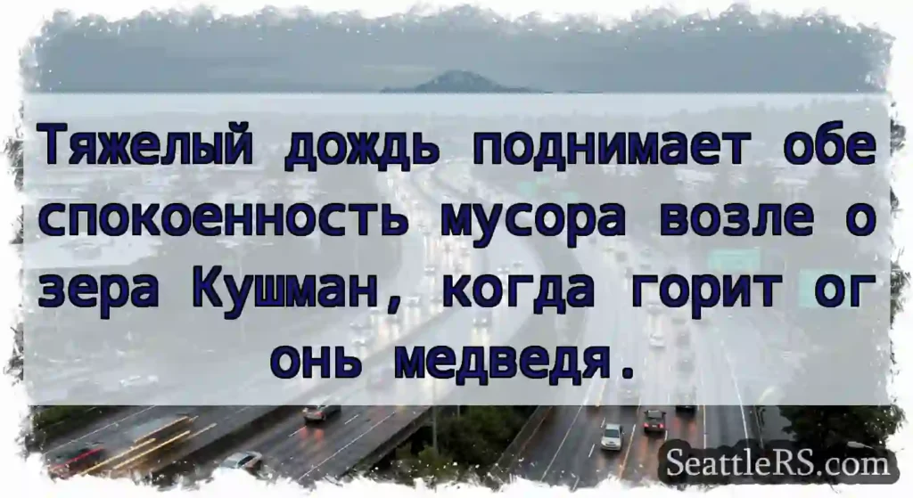 Тяжелый дождь поднимает обеспокоенность мусора