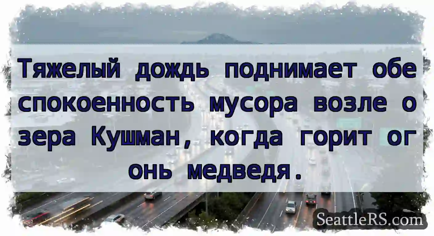 Тяжелый дождь поднимает обеспокоенность мусора