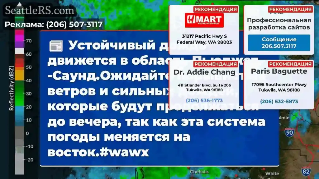 Устойчивый дождь движется в область Пьюджет