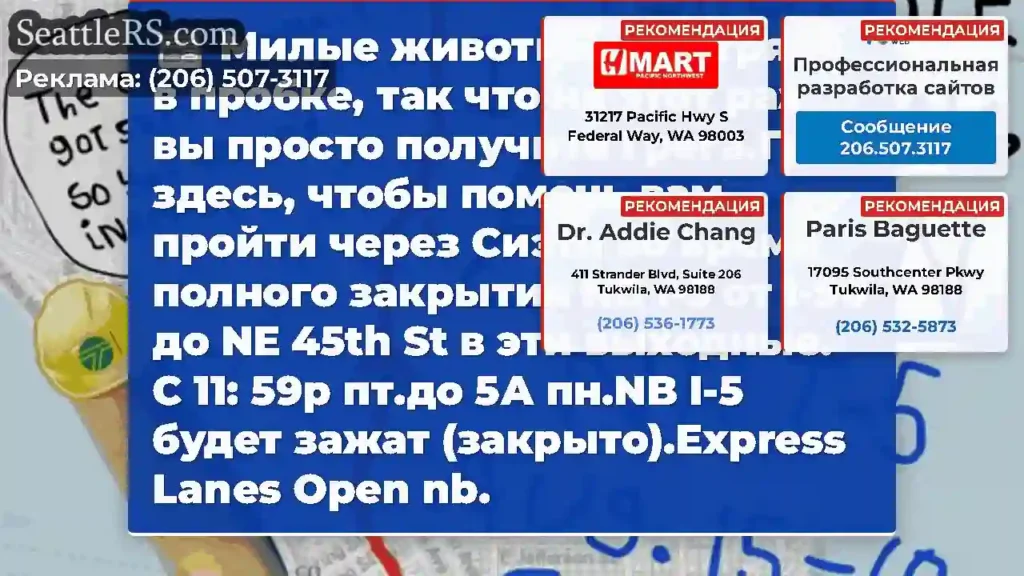 Милые животные застряли в пробке, так что на этот
