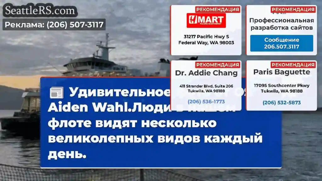 Удивительное фото от OS Aiden Wahl.Люди в нашем