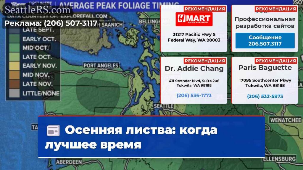 Осенняя листва: когда лучшее время