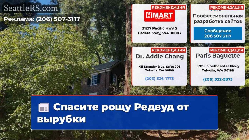 Спасите рощу Редвуд от вырубки