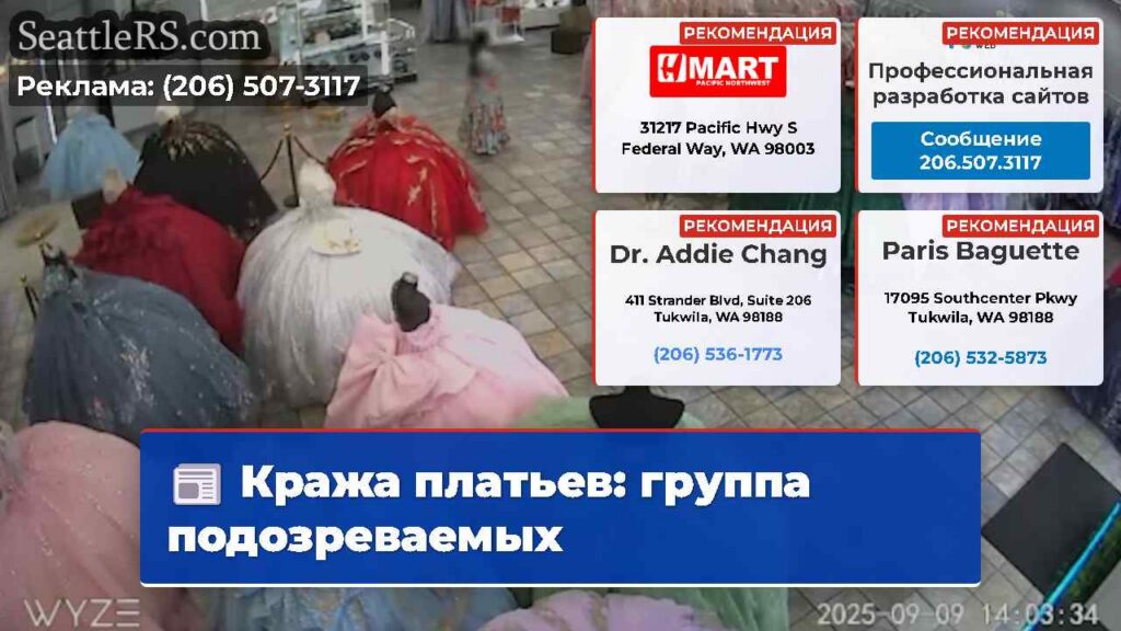 Кража платьев: группа подозреваемых