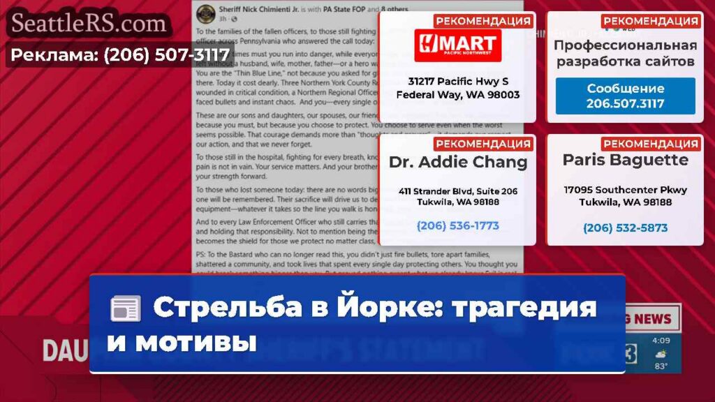 Стрельба в Йорке: трагедия и мотивы